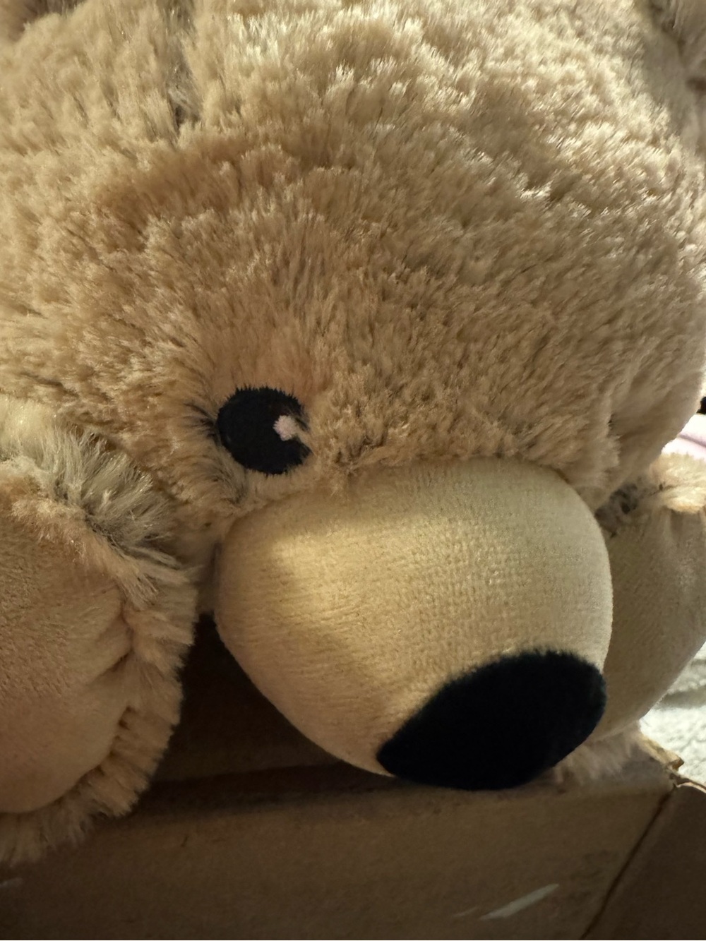 Warmies super soft Brown Bear NEW w/ tags